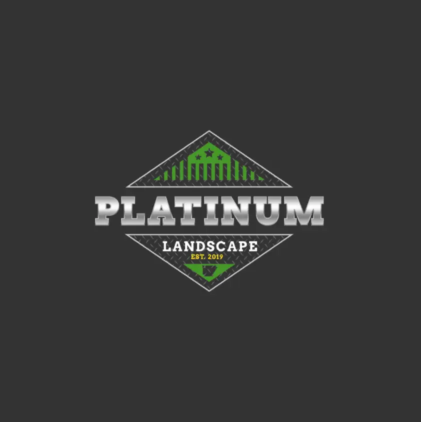 Platinum